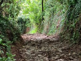 Walk to the pub