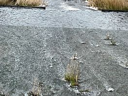 Lower tamar lake