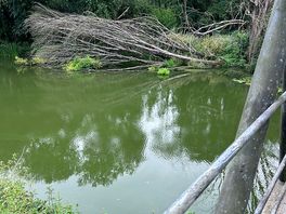 River