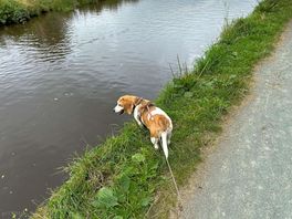 Ripley wanted to paddle, not advised!