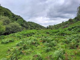 Dartmoor