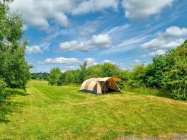 Tent pitch