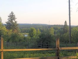 Woodland next to camp