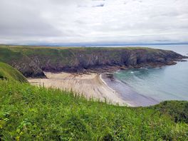 Local beach