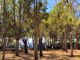 Pitches shaded by trees