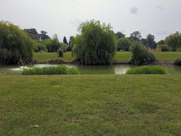 Lake 5