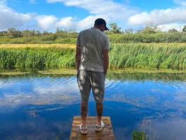 Checking out all the fish