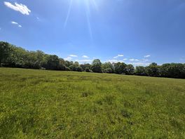 Across the camping field