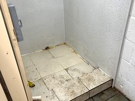 Toilet and shower area