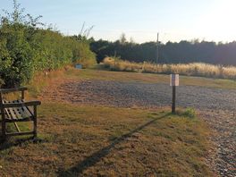 The site