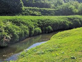 Peaceful and great river location