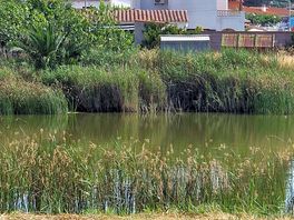Lac