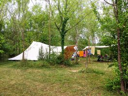 Large pitches under the trees