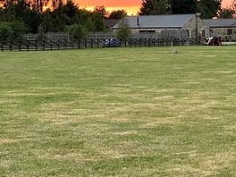 Sunset over millfields