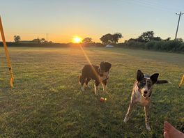 Watching the sun go down