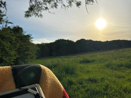 Hammock evenings