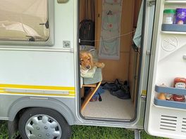 Good campsite for well behaved dogs !