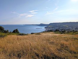 View towards sidmouth. sw coast path.