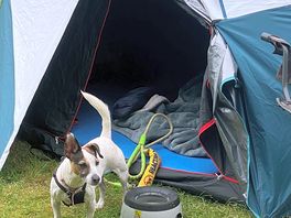 Dog friendly