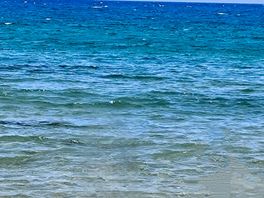 Foto mare