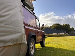 Afternoon sun
