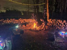 Beautiful lights around the firepit