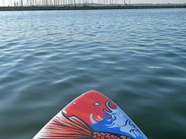 Paddling in the harbour