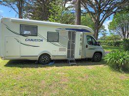 Our pitch in the trees