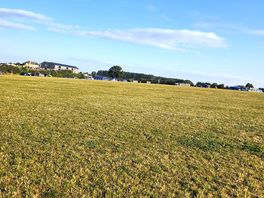 Morning vue on to the field 😍