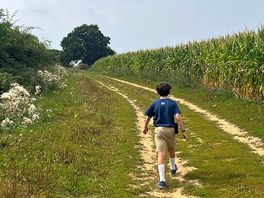 Walk from the site