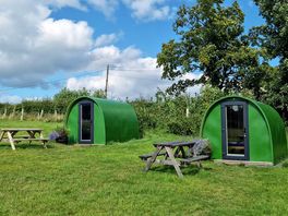 Green Pods