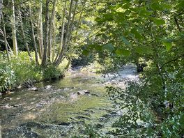 River behind campsite