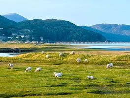 Beauty of wales