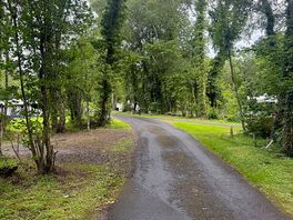 Around the site