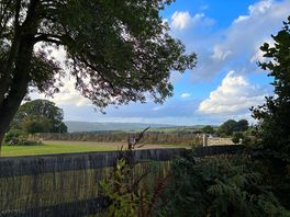 Site views