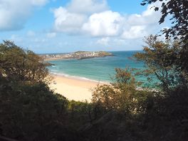 Carbis bay