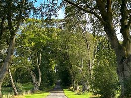 Lovely drive up to the site