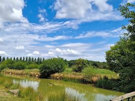 Lovely lakes