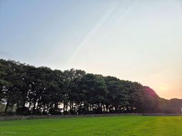 Site
