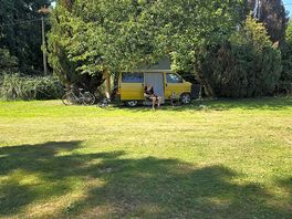 Lekkere plek onder boom