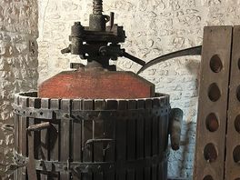 Tasting cognac