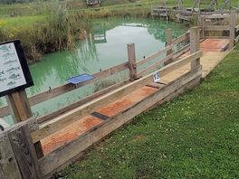 Pond