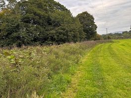 Walk next to camp