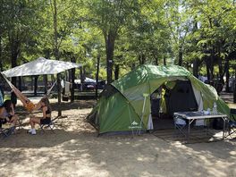 Shaded tent pitches