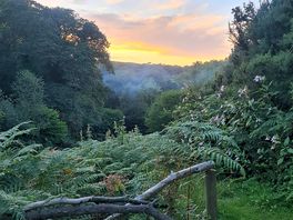 View from moonlight hobbit hole.