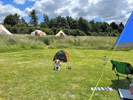 A view towards the big tents you can rent.