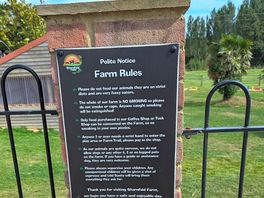 Notice stating no non-assistance dogs are allowed