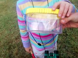 Bug finding