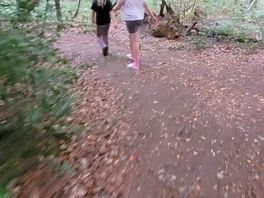 Little woodland walk
