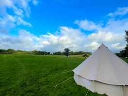 Our lovely tent on site, facing the sunflowers for a lovely wake up view